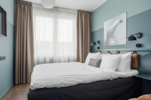 1 queen bed