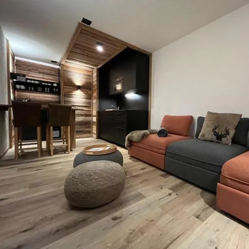 Grand Roc - Appartements & Studios - ANZERE in Anzère, Schweiz