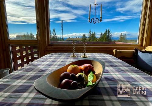 Cozy apartment with a view and ski inout Hafjell in Oyer