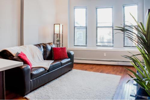 Lovely 2BR apartment by Wooster Square- great neighborhood in New Haven, USA