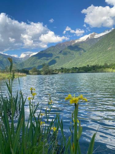 A környék, La Perle de la Lauzière, chambres d hôtes (La Perle de la Lauziere, chambres d hotes) in Argentine