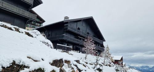 Edelweiss 6, Champoussin (fotografie 3)