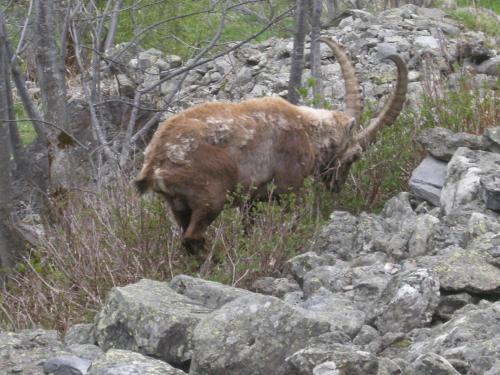 Gîte Les Grands Champs - image 7