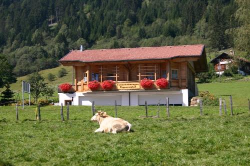 Ferienwohnung Suntinger