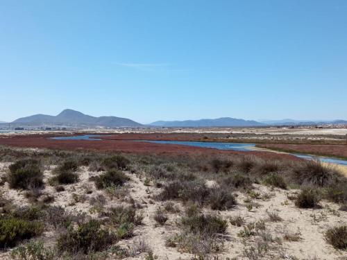 Cabañas ecológicas Tongoy