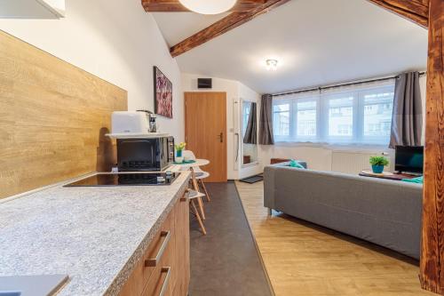 JonasHouse studios - Great Location near Bratislava City Center- personal or self check-in 1