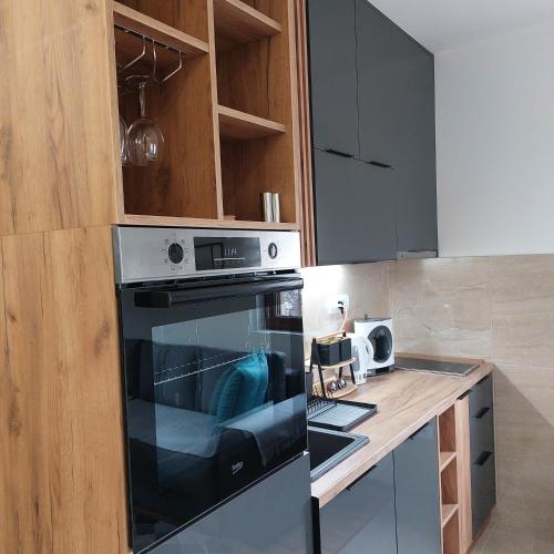 One-Bedroom Apartment image 3