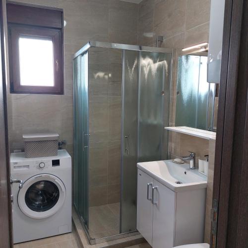One-Bedroom Apartment image 2