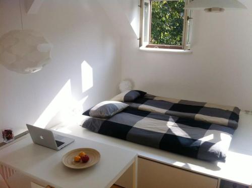 The cute, sunny apartment in the center +P, Lublaň (fotografie 9)