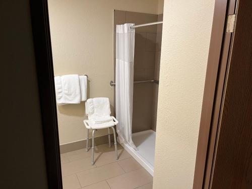 Comfort Inn Clearfield - image 8