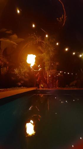 BAMBU HOSTEL, David (Foto 5)