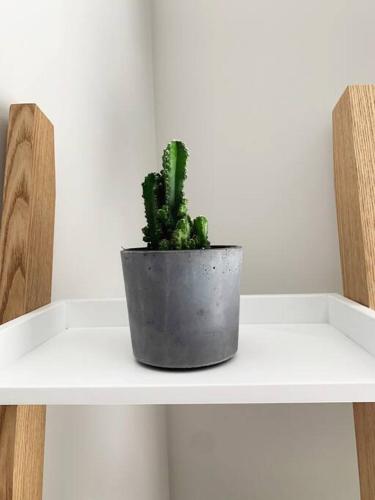 Airy & Bright (Stay & Roam)