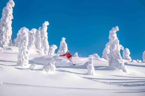 Snowy Trails Lodge in Big White