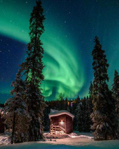 Magical Pond Nature Igloos