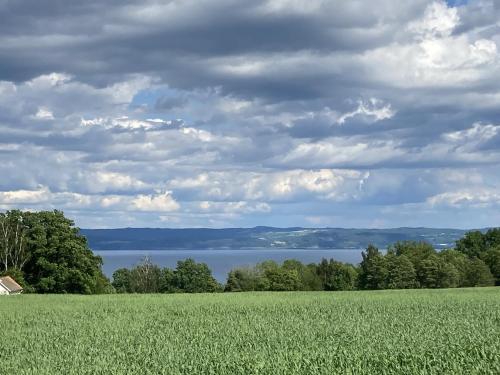 Lovely cottage in Bankeryd with a panoramic view of the lake