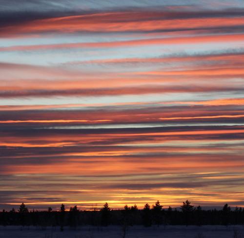 Ounasloma Luxury Cottages - image 5