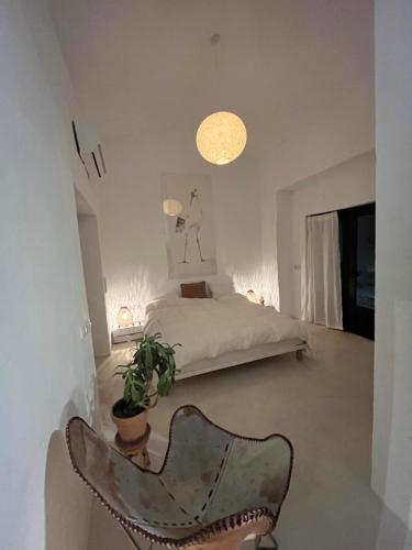 Finca Elements 5