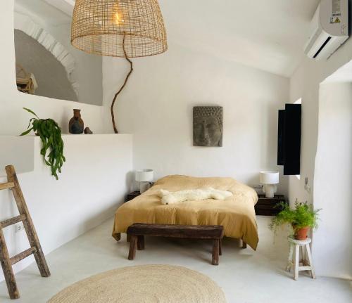 Finca Elements 4