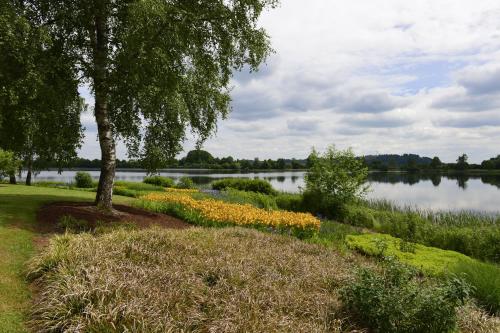 Wellnester Tiny Houses in Losheim am See Wellnester Tiny Houses in Losheim am See
