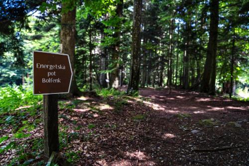 Pohorje Village Wellbeing Resort - Forest Hotel Videc