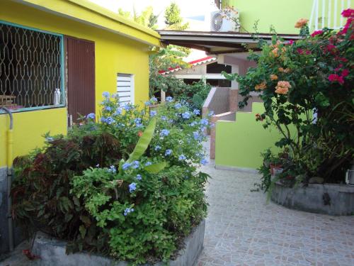 Dārzs, Residence Madelia in Port-Louis