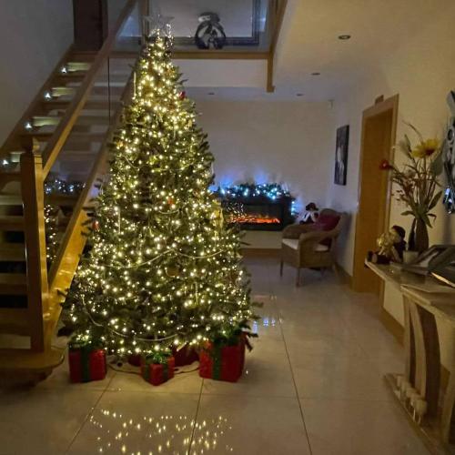 Woodview Bed & Breakfast in Kilkeel