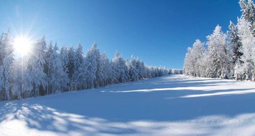 Pohorje Village Wellbeing Resort - Forest Hotel Videc