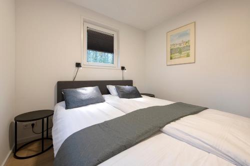 95, 2 king size bedden - Airco - gelegen aan de Kampina - Recreational Only, Oisterwijk (foto 10)