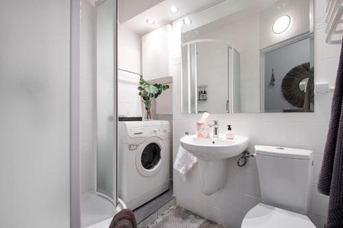 Parrot Dream Parrot Dream