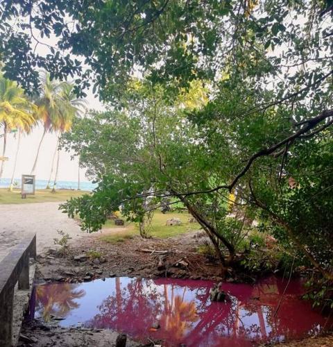 Mi Hermosa - Casa Isleña a 70 Metros de la Playa