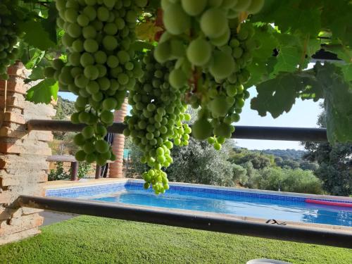 Casa Rural Bellavista Ronda, Ronda (foto 8)