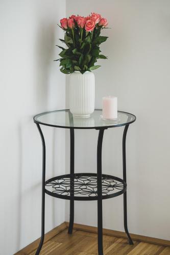 Carin Deluxe II, Vídeň (fotografie 10)