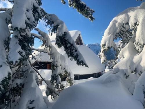 Velika planina - Chalet Stane - Alps