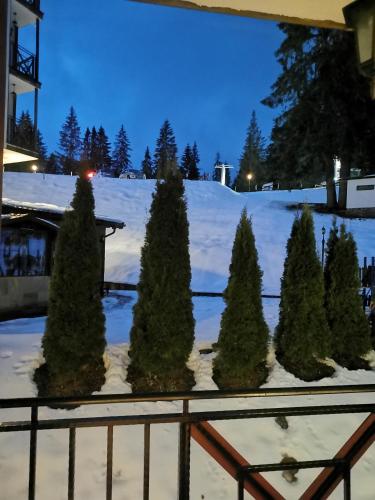 Ski Area @ Apartment Rosea 205 @ Pamporovo