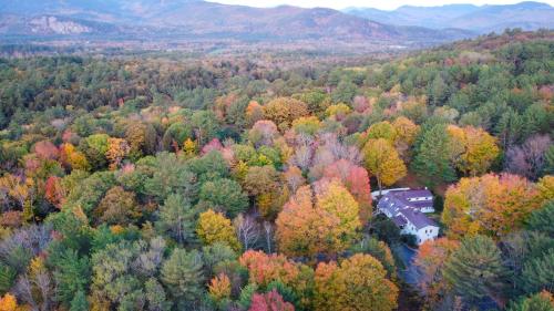 Buttonwood Inn on Mount Surprise - image 9