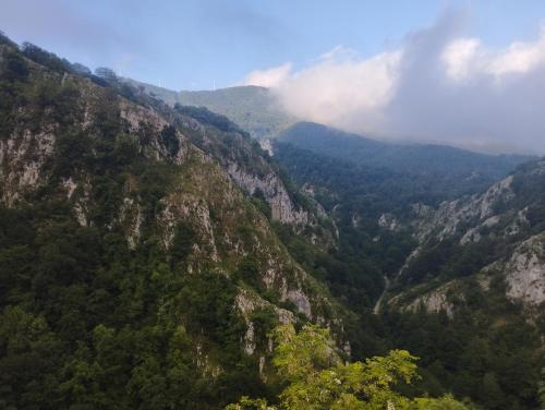 Soraluze Hotela - image 2
