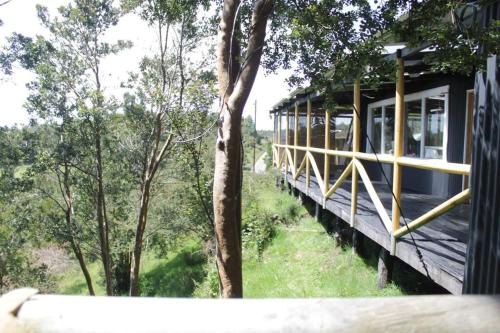 . Refugio Familiar en los hermosos bosques de Aucar, Chiloé