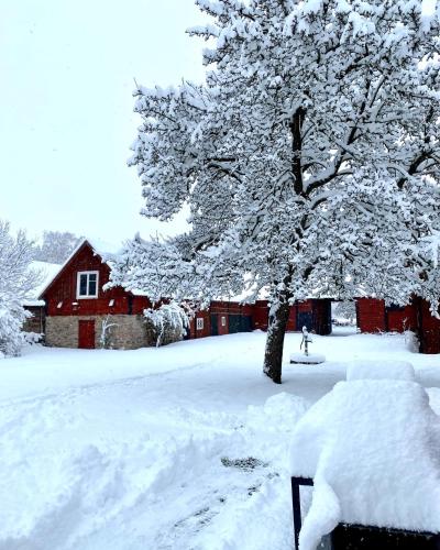 Bo i egen stuga på härlig ölandsgård