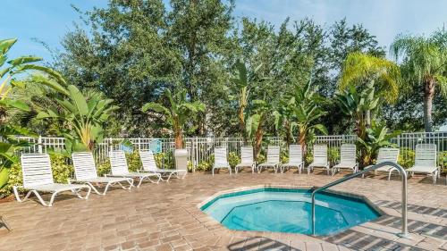 Coconut Palm 8107  U305 - image 10