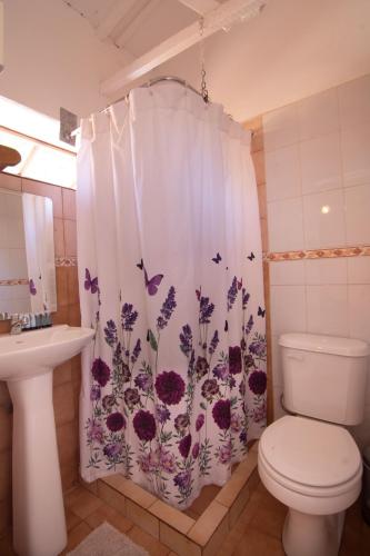 Hotel-Camping Takha Takha