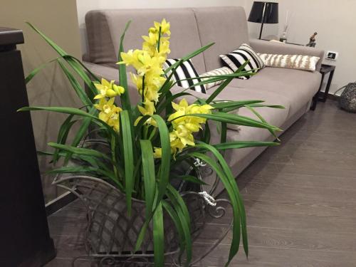 B&B Civico Cinque – Salerno, UT