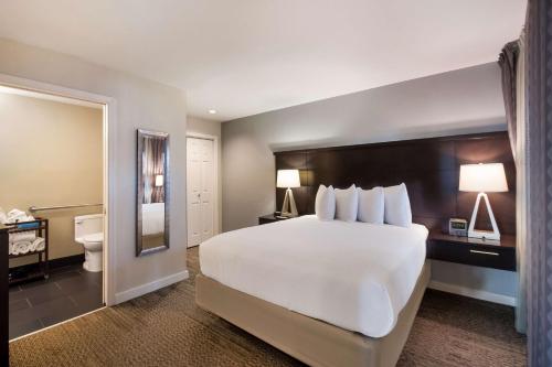 Sonesta ES Suites Dulles Airport