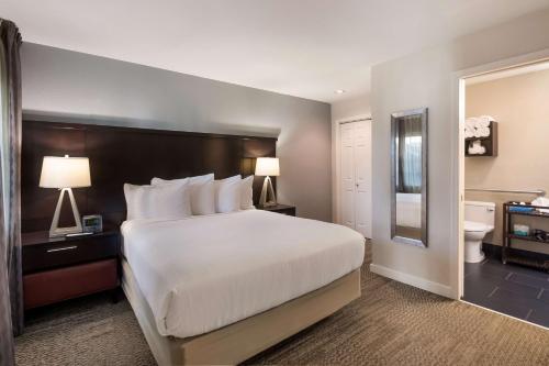 Sonesta ES Suites Dulles Airport