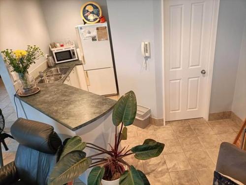 Aqua On The Beach in بوكلاندز بيتش