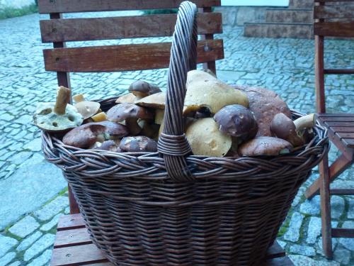 Penzion Čas - image 10