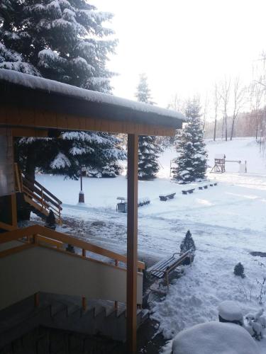 Accommodation in Dolní Dvůr