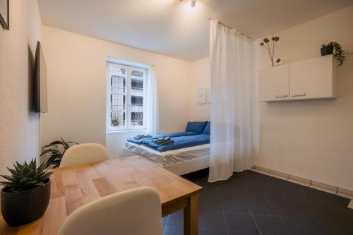 Gemütliches Studio im Stadtzentrum - Apartment - Biel