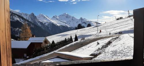 Combe Blanche 1217 - Location saisonnière - Manigod