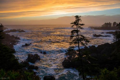 Waterfront Timber Frame Cottage! in Ucluelet, Canada