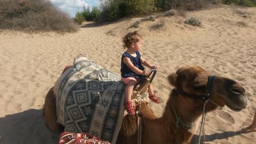 海滨居所酒店 海滨居所酒店